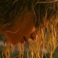 Beyondthepines Desnuda