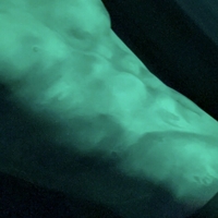 Dariadoubleday Desnuda