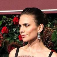 Hayley Atwell Desnuda