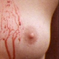 Shelly York Desnuda